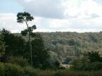 [view of Ranmore Common from Polesden Lacey]